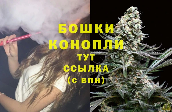 шишки Кулебаки