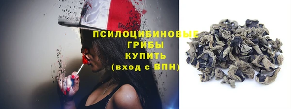 дурь Лагань