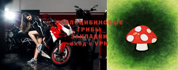 дурь Лагань